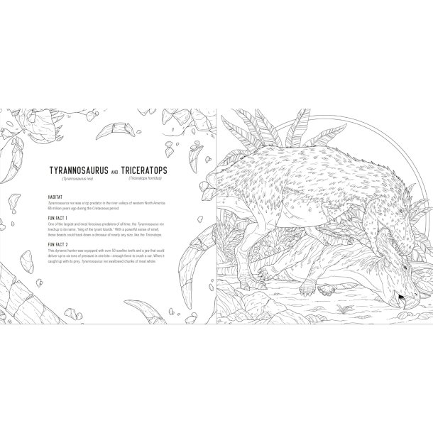 Predators: A Smithsonian Coloring Book