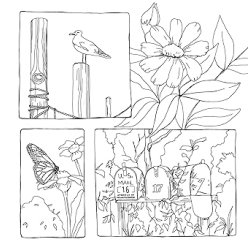 Color Your World: A Coloring Book of Simple Joys and Everyday Wonders