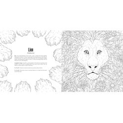 Cats: A Smithsonian Coloring Book