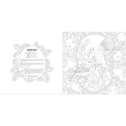 Birds A Smithsonian Coloring Book