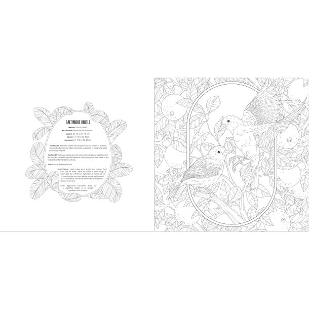 Birds A Smithsonian Coloring Book