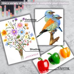 KALOUR Premium farveblyanter Rund - 72-stk.