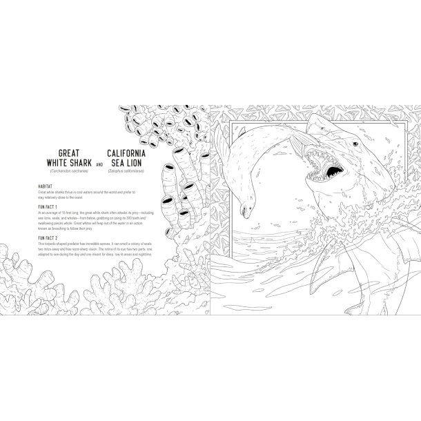 Predators: A Smithsonian Coloring Book