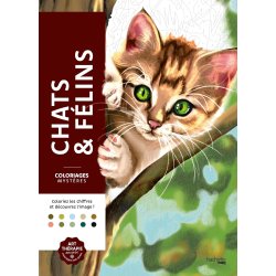 Paint-by-Numbers - Cats and Felines