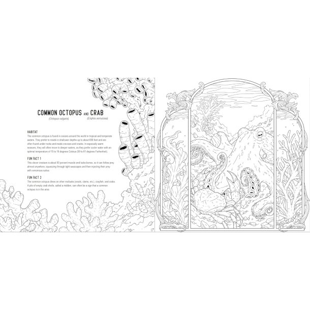 Predators: A Smithsonian Coloring Book