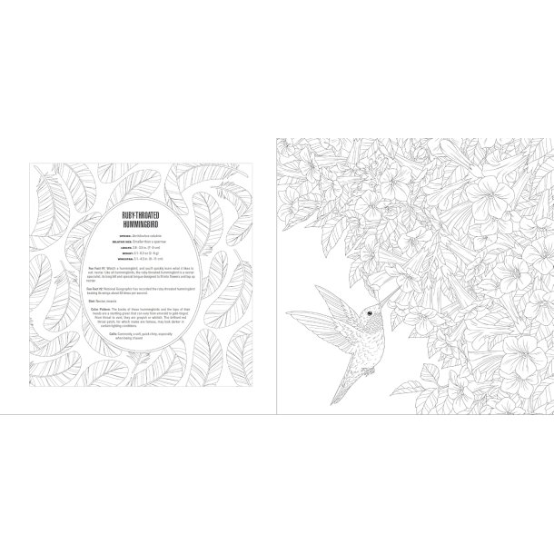 Birds A Smithsonian Coloring Book