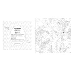 Birds A Smithsonian Coloring Book