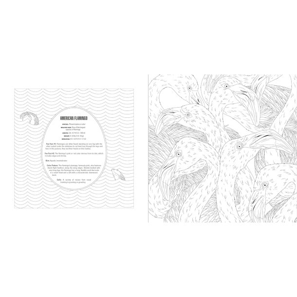 Birds A Smithsonian Coloring Book