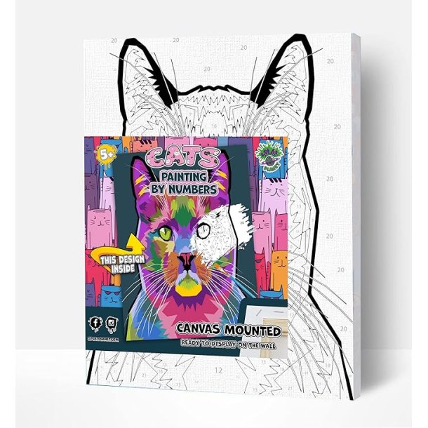 Cat paint by numbers 40 x 30cm