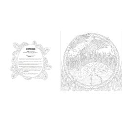 Birds A Smithsonian Coloring Book