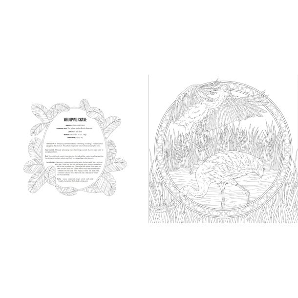 Birds A Smithsonian Coloring Book