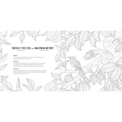 Predators: A Smithsonian Coloring Book