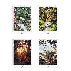 Paint-by-Numbers - Forests of the World: 100 Mystery Colouring Pages