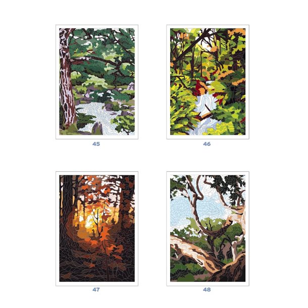 Paint-by-Numbers - Forests of the World: 100 Mystery Colouring Pages