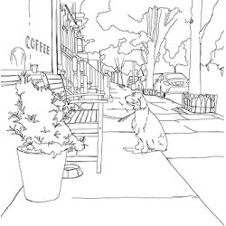 Color Your World: A Coloring Book of Simple Joys and Everyday Wonders