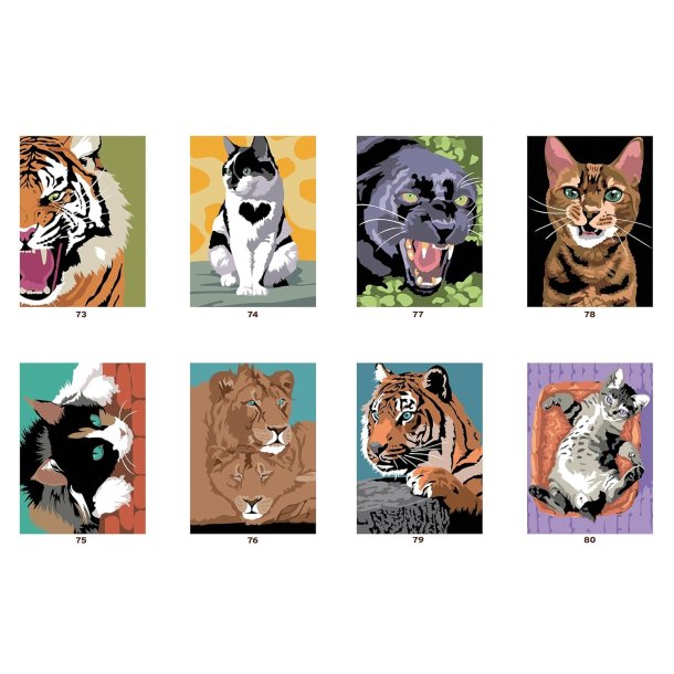 Paint-by-Numbers - Cats and Felines