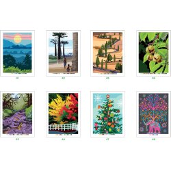 Paint By Numbers - Trees of the World