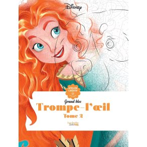 Disney Paint-by-Number - Optical Illusions 2 (Brave & others)