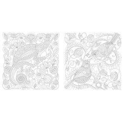 Millie Marotta's Wildlife Wonders