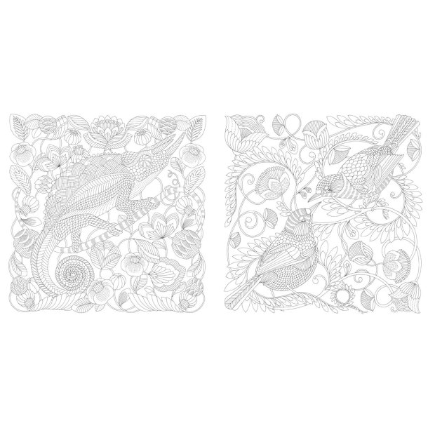 Millie Marotta's Wildlife Wonders