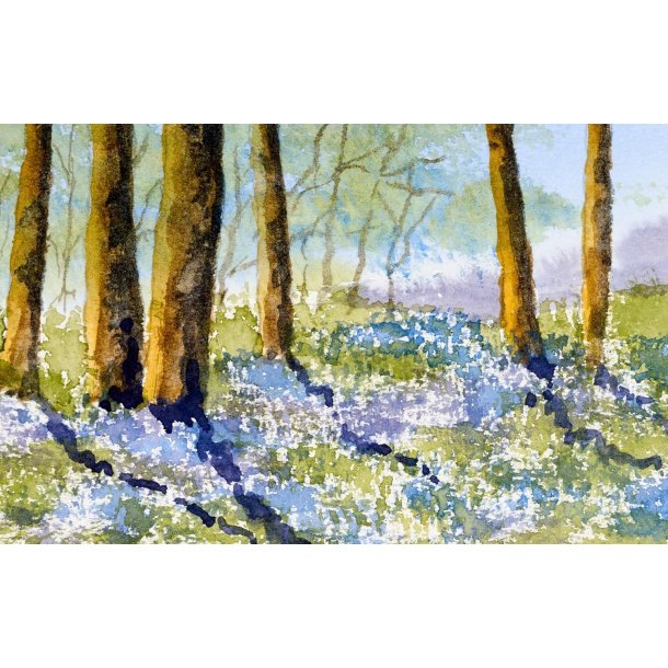 Watercolor Mixing Deck: Landscapes