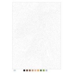 Paint-by-Numbers - Nature: 100 Original Mystery Colouring Pages