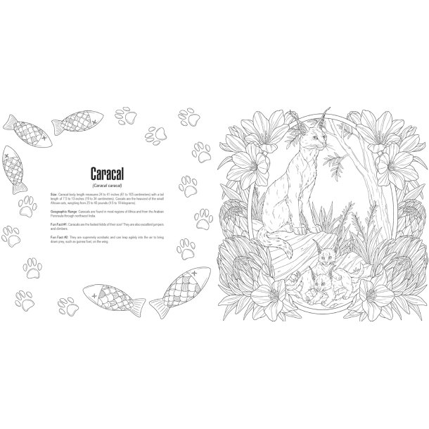  Cats: A Smithsonian Coloring Book