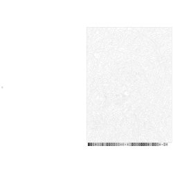 Disney Paint-by-Number - Vaiana