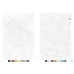 Paint By Numbers - Animals of the World