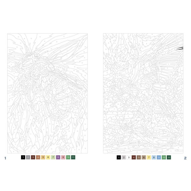 Paint By Numbers - Animals of the World