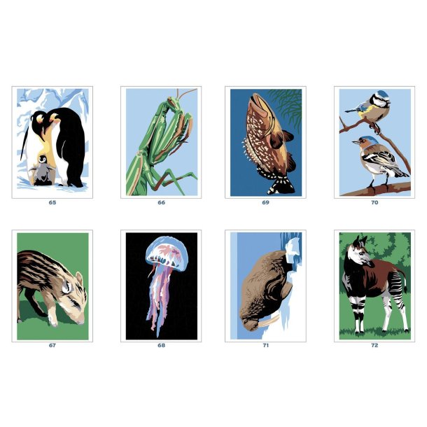 Paint By Numbers - Animals of the World