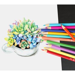 Mobee - Farveblyanter 12-Pak