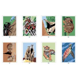 Paint By Numbers - Animals of the World