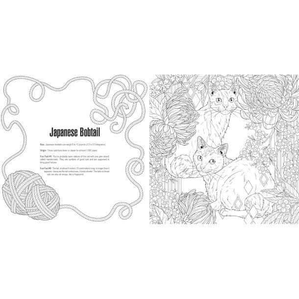  Cats: A Smithsonian Coloring Book