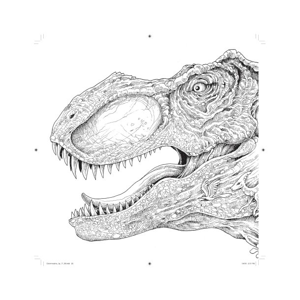 Colormorphia: Celebrating Kerby Rosanes's Coloring Challenges