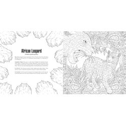  Cats: A Smithsonian Coloring Book