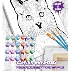 Cat paint by numbers 40 x 30cm