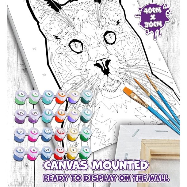 Cat paint by numbers 40 x 30cm