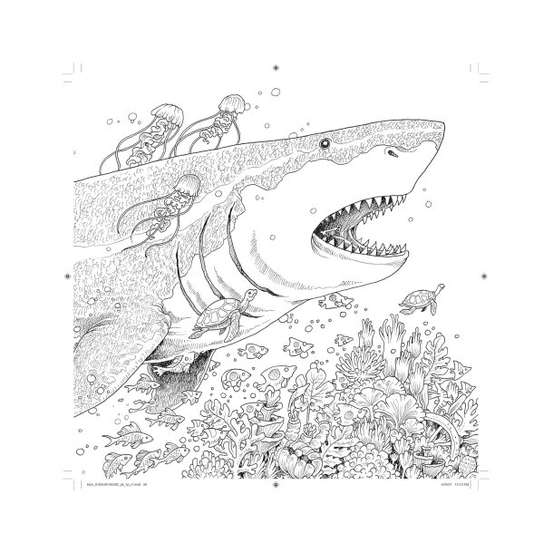 Kaleidomorphia: An Extreme Coloring and Search Challenge