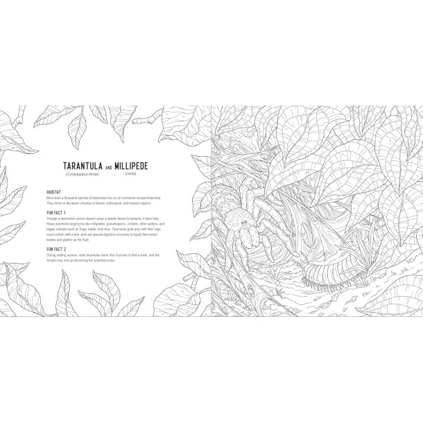 Predators: A Smithsonian Coloring Book