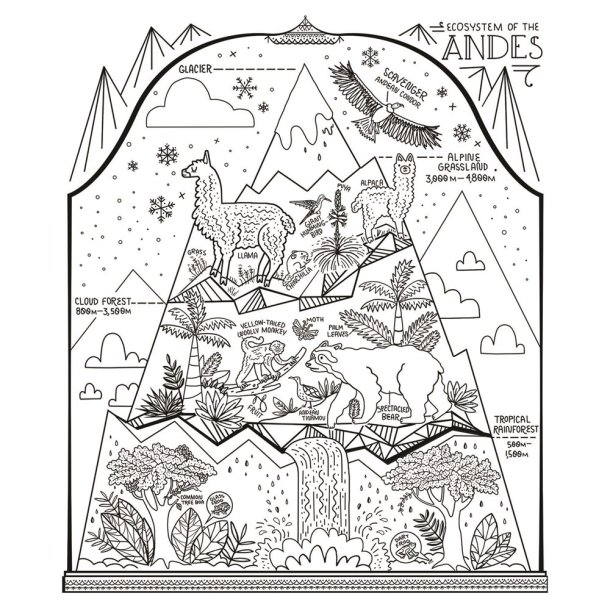 The Wondrous Workings of Science and Nature Coloring Book