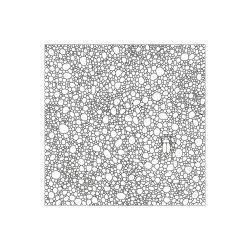 The Hidden Creatures Coloring Book