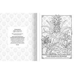 The Happy Houseplant Coloring Book