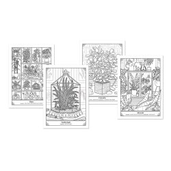 The Happy Houseplant Coloring Book