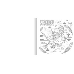 What's Inside a Garden?: Science and Nature Coloring Book