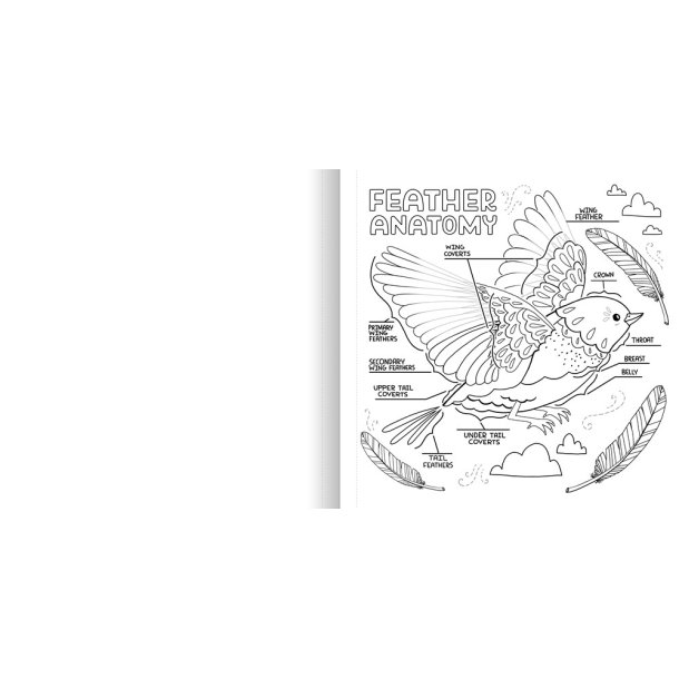 What's Inside a Garden?: Science and Nature Coloring Book