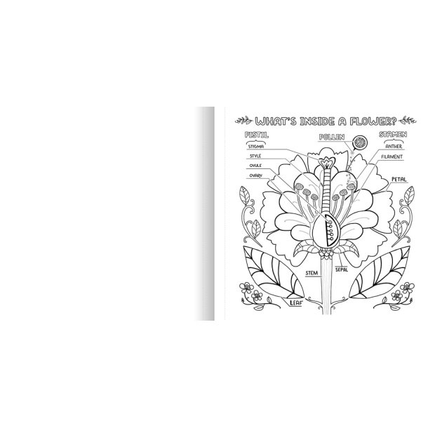 What's Inside a Garden?: Science and Nature Coloring Book