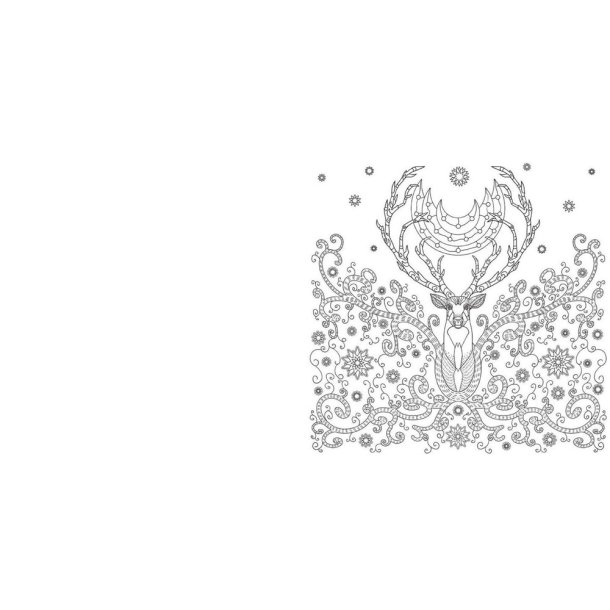 National Geographic Magnificent Animals