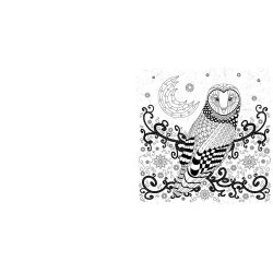 National Geographic Magnificent Animals