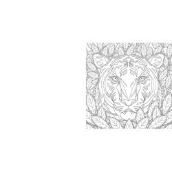 National Geographic Magnificent Animals